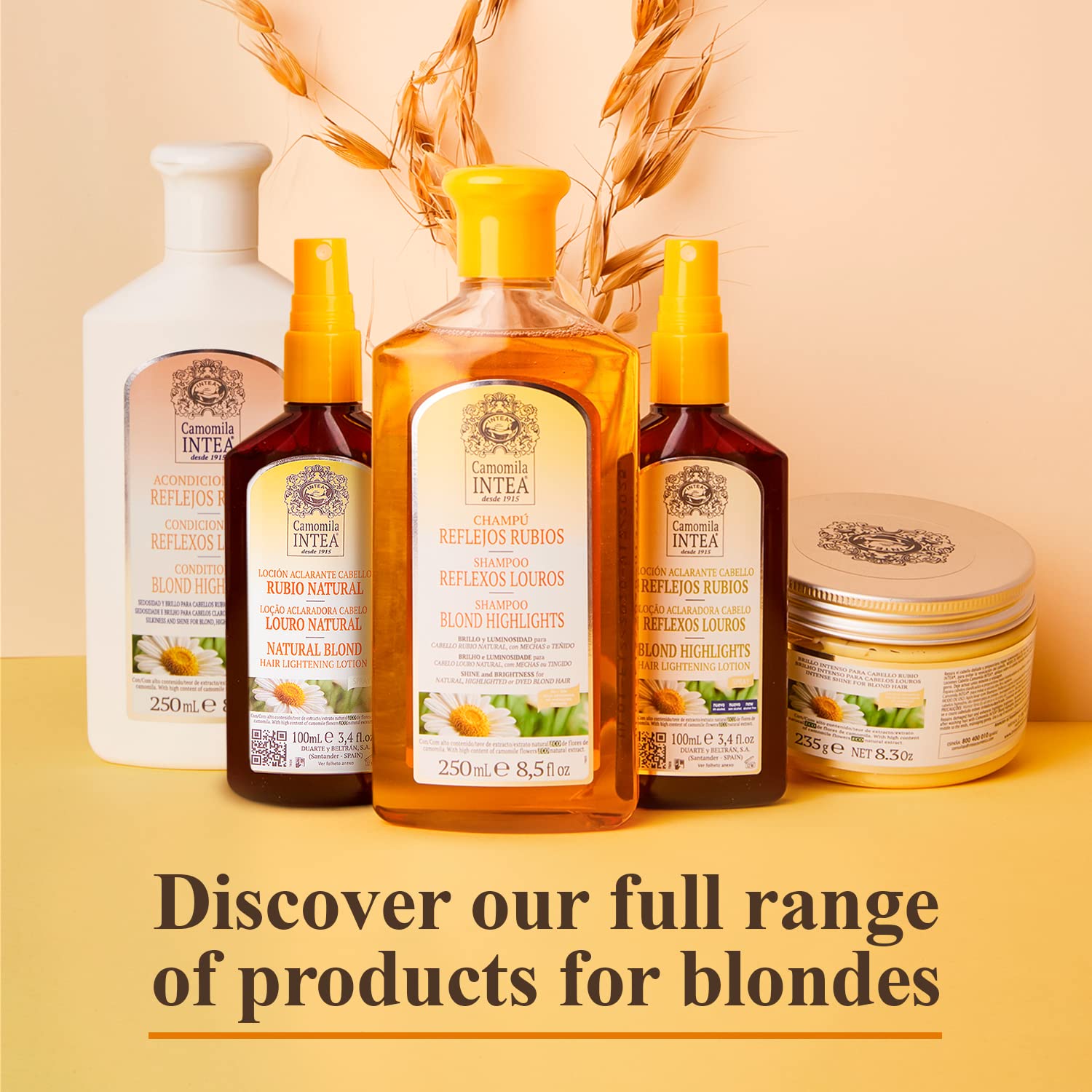 Intea Chamomile Shampoo full range of products