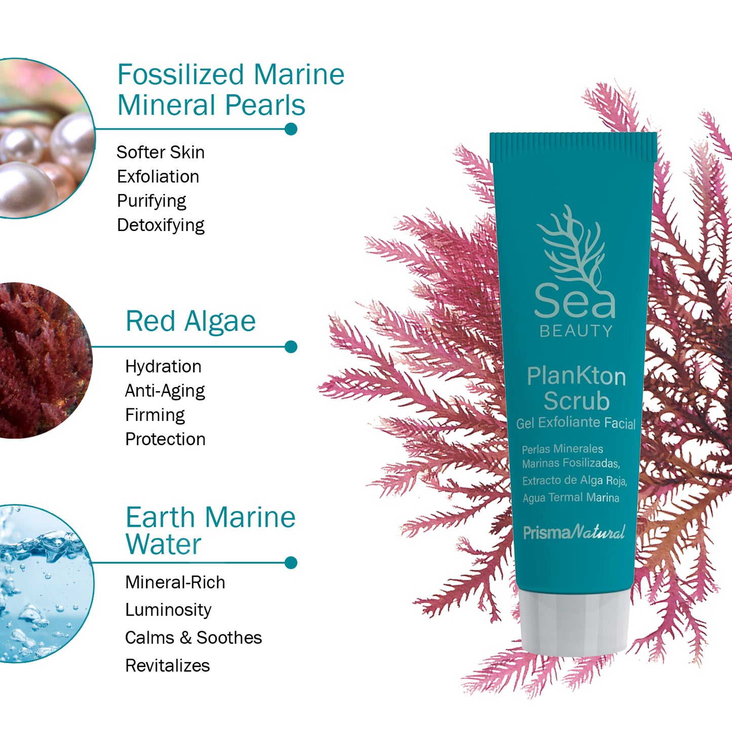 "Organic Sea SCRUB with ocean extracts"