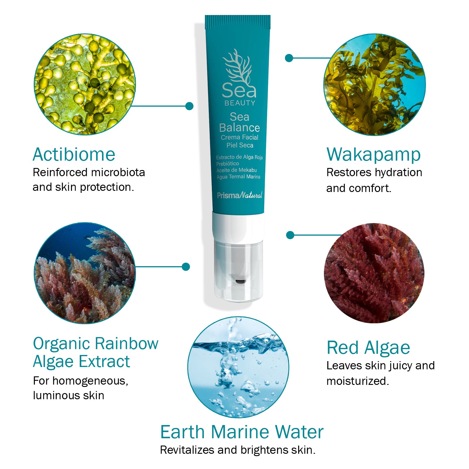 "Sea Face Cream with Marine Algae"